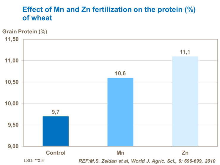 &Mu;&alpha;&gamma;&gamma;&alpha;&nu;&iota;&omicron; &kappa;&alpha;&iota; &Psi;&epsilon;&upsilon;&delta;&alpha;&rho;&gamma;&upsilon;&rho;&omicron;&sigmaf; - &pi;&rho;&omega;&tau;&epsilon;&iota;&nu;&eta;