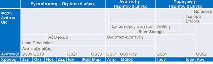 &Sigma;&tau;ά&delta;&iota;&omicron; &gamma;&epsilon;&mu;ί&sigma;&mu;&alpha;&tau;&omicron;&sigmaf; &tau;&omicron;&upsilon; &kappa;ό&kappa;&kappa;&omicron;&upsilon; &tau;&omicron;&upsilon; &sigma;&iota;&tau;&alpha;&rho;&iota;&omicron;ύ