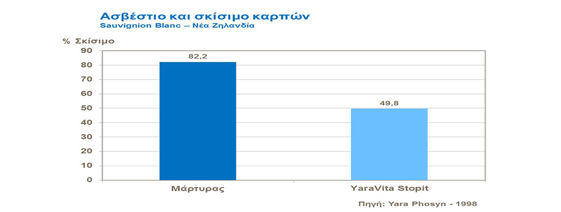 ασβέστιο στο αμπέλι και σκίσιμο καρπών