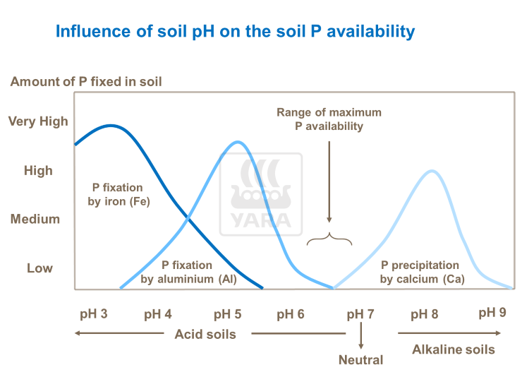 &Epsilon;&pi;ί&delta;&rho;&alpha;&sigma;&eta; &epsilon;&delta;&alpha;&phi;&iota;&kappa;&omicron;ύ pH &sigma;&tau;&omicron; &delta;&iota;&alpha;&theta;έ&sigma;&iota;&mu;&omicron; &phi;ώ&sigma;&phi;&omicron;&rho;&omicron;