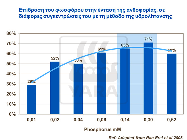 &Epsilon;&pi;ί&delta;&rho;&alpha;&sigma;&eta; &tau;&omicron;&upsilon; &phi;&omega;&sigma;&phi;ό&rho;&omicron;&upsilon; &sigma;&tau;&eta;&nu; &alpha;&nu;&theta;&omicron;&phi;&omicron;&rho;&iota;&alpha; &tau;&eta;&sigmaf; &epsilon;&lambda;&iota;&alpha;&sigmaf;