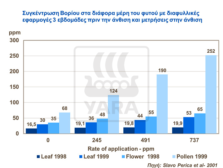 &Epsilon;&pi;ί&delta;&rho;&alpha;&sigma;&eta; &tau;&omicron;&upsilon; &beta;&omicron;&rho;ί&omicron;&upsilon; &sigma;&tau;&eta;&nu; &alpha;&nu;&theta;&omicron;&phi;&omicron;&rho;&iota;&alpha; &tau;&eta;&sigmaf; &epsilon;&lambda;&iota;&alpha;&sigmaf;