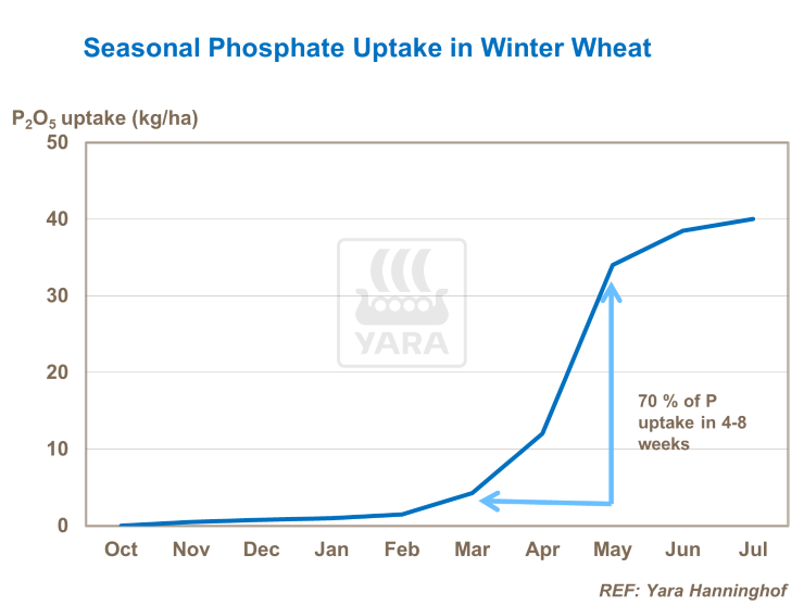 &phi;ώ&sigma;&phi;&omicron;&rho;&omicron;&sigmaf; &kappa;&alpha;&iota; &alpha;ύ&xi;&eta;&sigma;&eta; &tau;&omega;&nu; &tau;&epsilon;&lambda;&iota;&kappa;ώ&nu; &alpha;&pi;&omicron;&delta;ό&sigma;&epsilon;&omega;&nu;