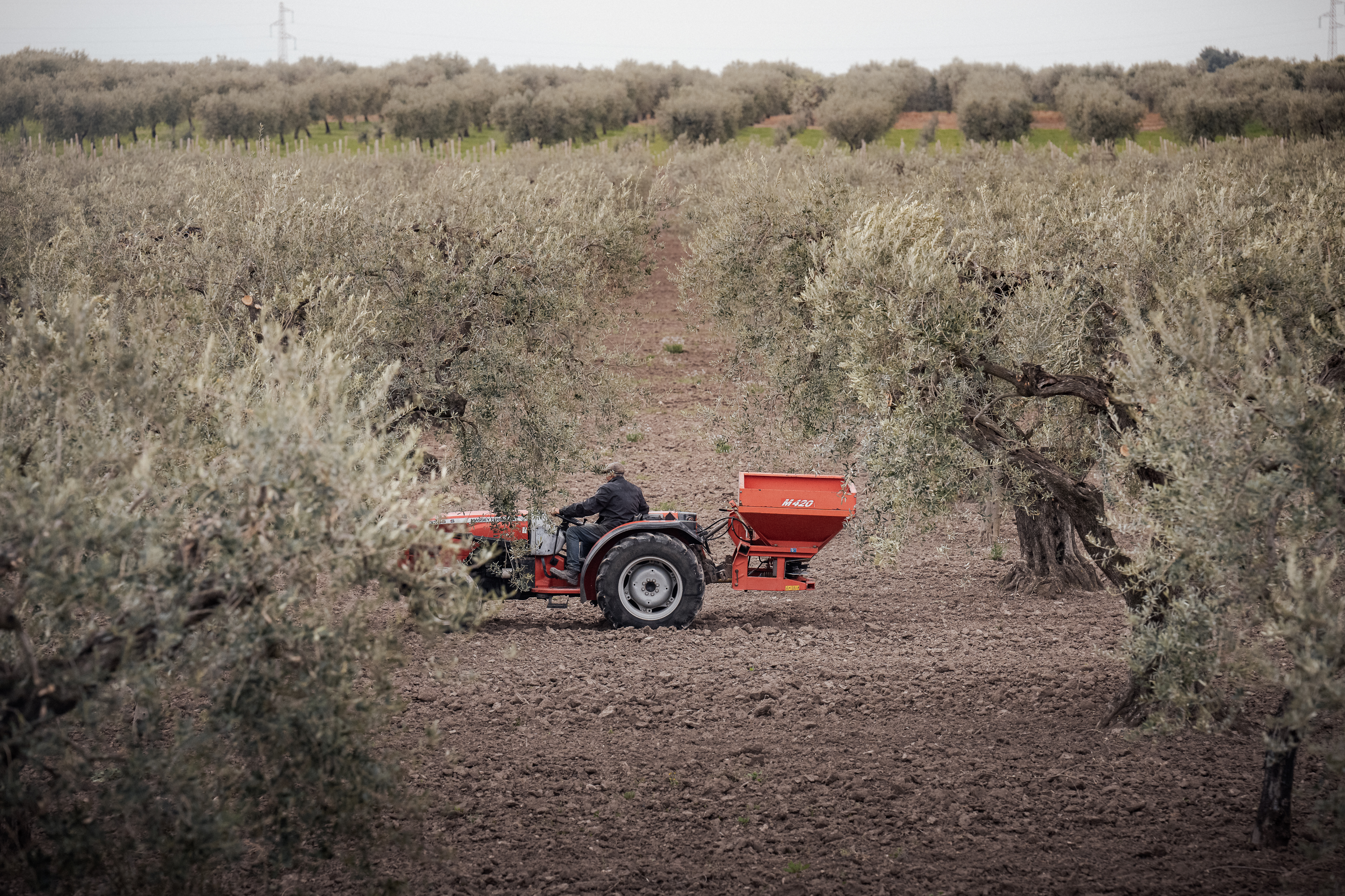 Μήπως η καλλιέγεια σας χρειάζεται περισσότερο αζωτο;