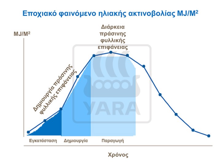 &Phi;&upsilon;&lambda;&lambda;&iota;&kappa;ή &epsilon;&pi;&iota;&phi;ά&nu;&epsilon;&iota;&alpha; &sigma;&tau;&omicron; &sigma;&iota;&tau;ά&rho;&iota;
