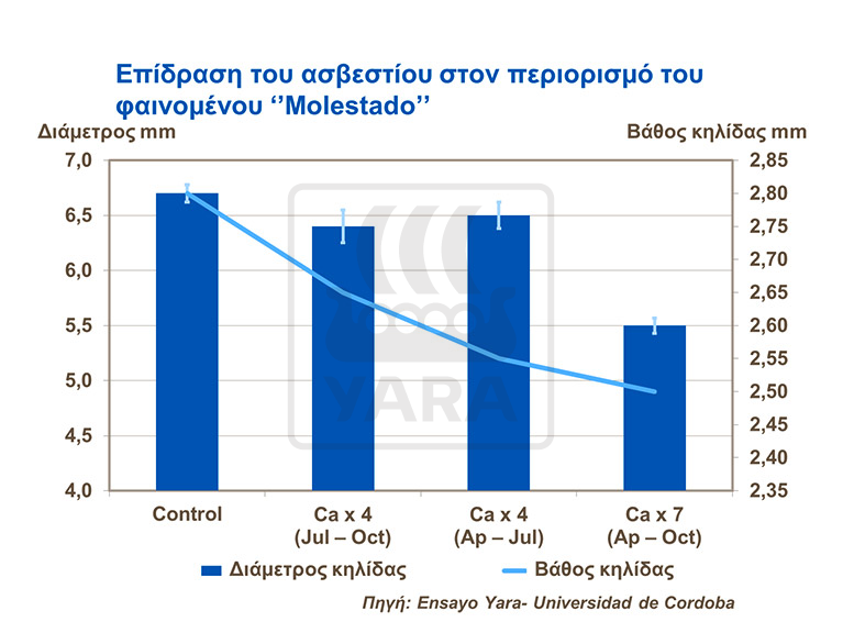 &Epsilon;&pi;ί&delta;&rho;&alpha;&sigma;&eta; &alpha;&sigma;&beta;&epsilon;&sigma;&tau;&iota;&omicron;&upsilon; &sigma;&tau;&omicron; &phi;&alpha;&iota;&nu;&omicron;&mu;&epsilon;&nu;&omicron; Molestado