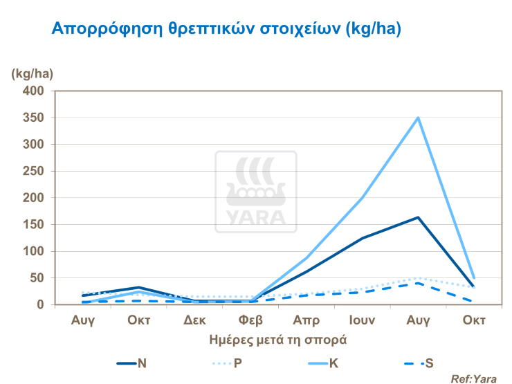 &Alpha;&pi;&omicron;&rho;&rho;ό&phi;&eta;&sigma;&eta; &theta;&rho;&epsilon;&pi;&tau;&iota;&kappa;ώ&nu; &sigma;&tau;&omicron;&iota;&chi;&epsilon;ί&omega;&nu; &sigma;&tau;&omicron; &sigma;&iota;&tau;ά&rho;&iota;