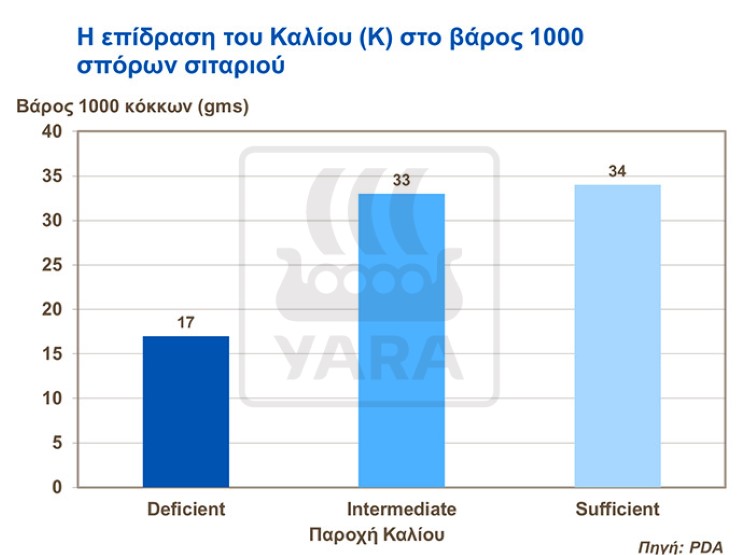 &Epsilon;&pi;ί&delta;&rho;&alpha;&sigma;&eta; &kappa;&alpha;&lambda;ί&omicron;&upsilon; &sigma;&tau;&omicron; &sigma;&iota;&tau;ά&rho;&iota;