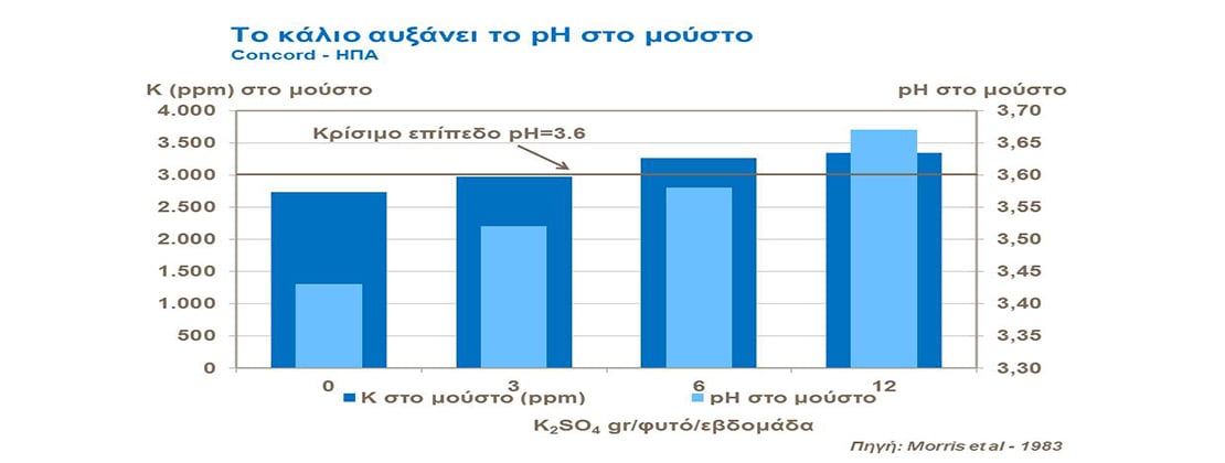 Το κάλιο αυξάνει το pH στο μούστο